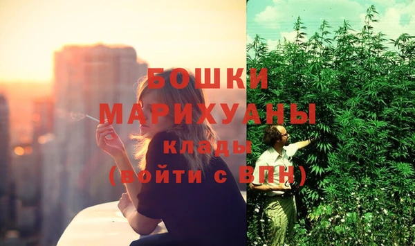Альфа ПВП Белокуриха