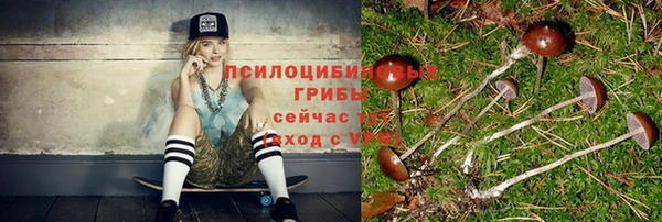 Альфа ПВП Белокуриха