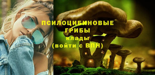 Альфа ПВП Белокуриха