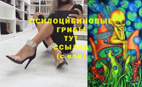 Альфа ПВП Белокуриха