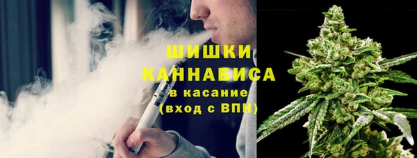 Альфа ПВП Белокуриха