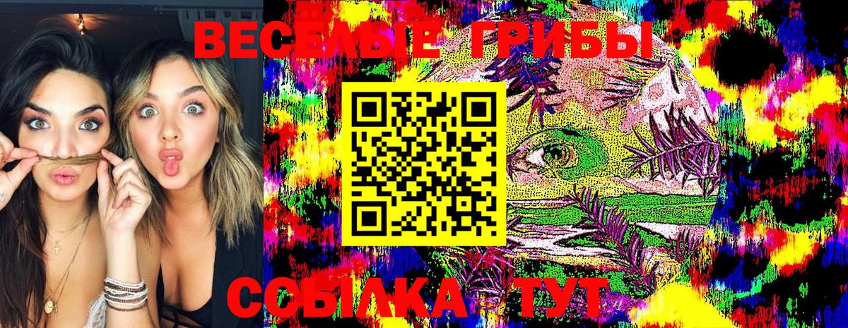 Галлюциногенные грибы Psilocybine cubensis Саяногорск