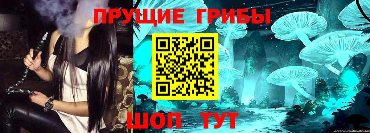Псилоцибиновые грибы Cubensis  Псилоцибиновые грибы MAGIC MUSHROOMS  Саяногорск  Вход с VPN 